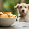 Are Biscuits Safe for Dogs? Understanding the Risks and Benefits