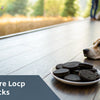 Are Charcoal Biscuits Good for Dogs? Exploring the Benefits and Risks
