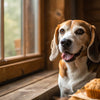 Are Dental Sticks Fattening for Dogs? Understanding the Impact on Your Pup’s Health