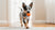Are Dental Sticks Healthy for Dogs? A Comprehensive Guide for Pet Owners