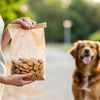 Are Dog Biscuits Healthy? A Comprehensive Guide for Pet Owners