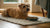 Can Dog Food Go Bad in a Hot Car? A Comprehensive Guide for Pet Owners