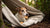 Can Dog Treats Cause Seizures? Understanding the Connection