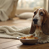 Can Dogs Drink Soy Milk? A Comprehensive Guide for Pet Owners