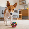 Can Dogs Eat Beetroot? Exploring the Benefits and Safety of This Colorful Vegetable