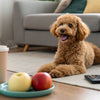 Can Dogs Eat Capers? Understanding the Risks and Alternatives
