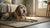 Can Dogs Eat Grapefruit? Understanding the Risks and Benefits