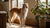 Can Dogs Eat Jackfruit? An In-Depth Guide for Pet Owners