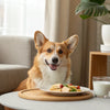Can Dogs Eat Mint Plant? Understanding Mint's Safety for Your Furry Friend
