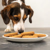 Can Dogs Eat Normal Biscuits? Understanding the Risks and Alternatives