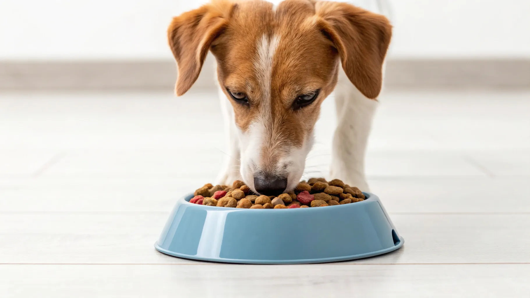 Health risks and signs to watch for