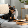 Can Dogs Eat Raw Pork Meat? Understanding the Risks and Benefits