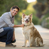 Can Dogs Eat Salted Biscuits? A Comprehensive Guide for Pet Owners
