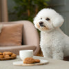 Can Dogs Eat Tortillas? Understanding the Risks and Benefits