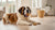 Can Dogs Eat Whipped Cream? Understanding the Risks and Rewards