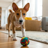 Can Dry Dog Food Go Stale? Understanding Shelf Life and Storage Tips