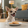 Can Eating Cat Food Make a Dog Sick? Understanding the Risks and Realities