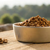 Can Grain Free Dog Food Cause Vomiting? Understanding the Risks and Benefits