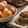 Can I Add Raw Egg to Dog Food? Understanding the Benefits and Risks