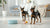 Can I Mix Ground Beef with Dry Dog Food? A Comprehensive Guide for Pet Owners