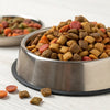 Can I Mix Wet and Dry Dog Food? Exploring the Pros, Cons, and Best Practices