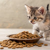 Can Kittens Eat Dog Kibble? Understanding the Nutritional Needs of Our Feline Friends