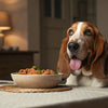 Can Mixing Wet and Dry Dog Food Cause Diarrhea? Understanding the Potential Impact on Your Pup's Digestive Health