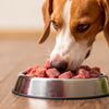 Can My Dog Eat Raw Food? Understanding the Benefits and Risks of a Raw Dog Food Diet
