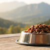 Can Wet Dog Food Be Left Out? Understanding Proper Feeding Practices