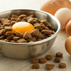 Can You Add Raw Egg to Dog Food? Exploring the Benefits and Risks