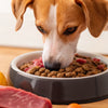 Can You Feed a Dog Raw and Kibble? Understanding the Benefits and Best Practices