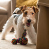 Can You Feed Your Dog Half Raw, Half Kibble? A Comprehensive Guide for Pet Owners