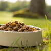 Can You Microwave Wet Dog Food? Exploring the Best Practices for Feeding Your Dog