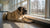 Caring for Your Dog with Heartworms: A Comprehensive Guide