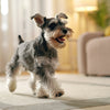 Delicious Organic Dog Treats Recipes for Your Furry Friends