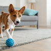 Delightful Homemade Salmon Dog Treats: A Healthy Snack for Your Furry Friend