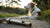 Do Dog Whistles Stop Barking? Understanding Their Effectiveness in Training