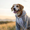 Do Dogs Like Wearing Clothes? Understanding Canine Fashion and Comfort