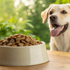 Does Dry Dog Food Cause Kidney Problems? Understanding the Risks and Nutritional Choices