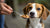 Does Peanut Butter Give Dogs Diarrhea? Understanding the Risks and Benefits
