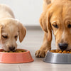 Does Puppy Food Have More Calories Than Adult Dog Food? Exploring Nutritional Needs for Your Growing Pup