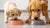 Does Puppy Food Have More Calories Than Adult Dog Food? Exploring Nutritional Needs for Your Growing Pup