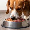 Does Raw Dog Food Cause Diarrhea? Understanding the Risks and Solutions for Your Pup