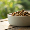 Does Wet Dog Food Cause Tooth Decay? Understanding the Impact on Your Dog's Dental Health