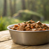 Does Wet Dog Food Go Bad? A Comprehensive Guide to Keeping Your Pup's Meals Fresh