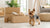 Does Wet Dog Food Have More Calories Than Dry? Understanding the Nutritional Differences