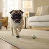Does Wet Dog Food Help with Dry Skin? Exploring Nutritional Solutions for Healthy Coats