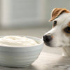 Does Yogurt Give Dogs Diarrhea? Understanding the Effects of Yogurt on Your Canine Companion