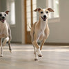 Easy and Delicious 4 Ingredient Homemade Dog Treats for Your Furry Friend