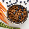 Elevating Puppy Nutrition: What Can Be Mixed with Dry Dog Food for Puppies?